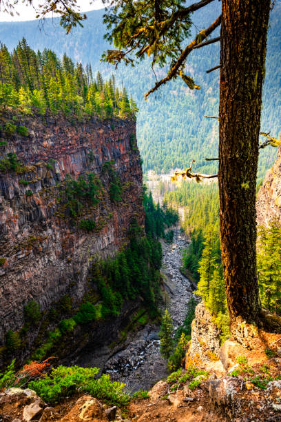 beautiful nature near Kamloops in Canada