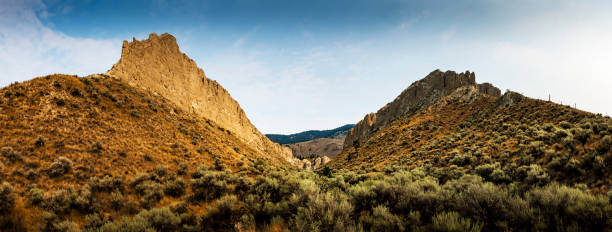 beautiful nature near Kamloops in Canada