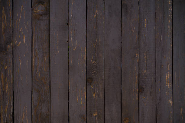 Morning sunlight streams through window and onto floor, creating atmospheric mood on wood floors with shadows and light, bokeh. Brown background.