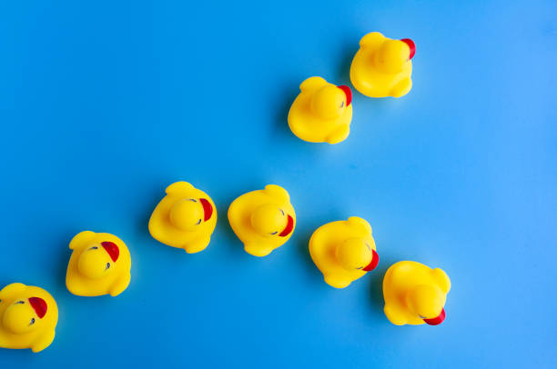 istock Top view of rubber duck going in different direction. Leadership concept 2154712825