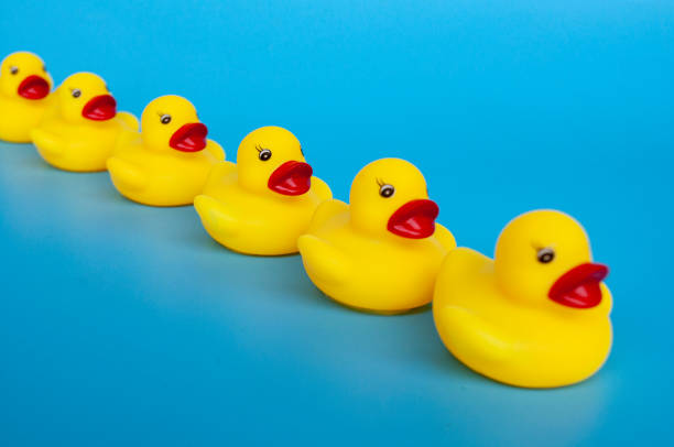 istock Rubber duck swimming with customizable space for text. Leadership and copy space concept 2154712826