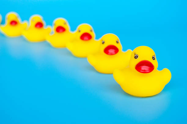 istock Rubber duck leading other rubber ducks with customizable space for text. Leadership concept 2154712832