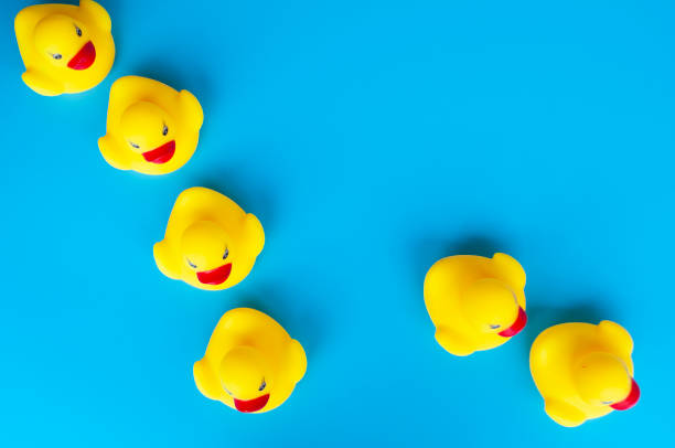 istock Top view of rubber ducks with customizable space for text 2154712835