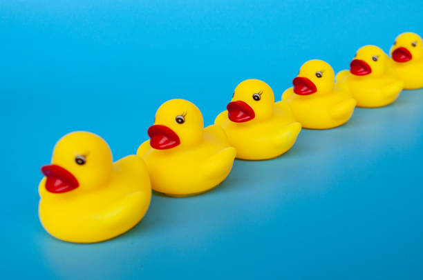 istock Side view of rubber ducks in line with customizable space for text 2154712853