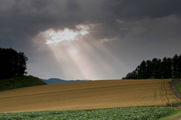 Dramatic Clouds and Sunset Sunrays Over Tuscany's Rolling Hills: A Scenic Masterpiece