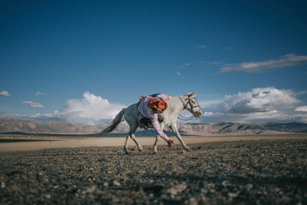 Kazakh eagle hunters showing skill retrieving cloth on ground competition riding horses at Bayan Olgii, West Mongolia