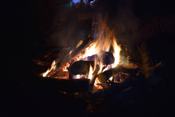 night fire, fire burns at night, firewood burns in fire