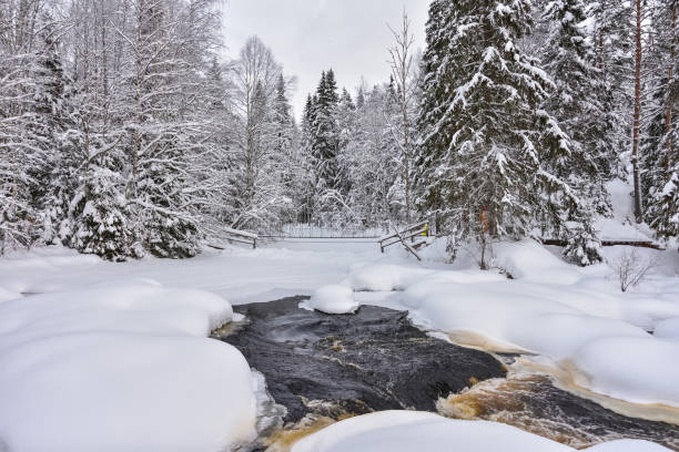istock Winter in a spruce forest, spruces covered with white fluffy snow. Selective focus. Winter Landscape with Snow and Trees. Snow covered trees in forest during winter 2154718795