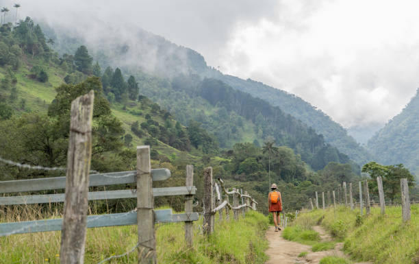 istock young woman with her back turned walking in the open air 2154723633