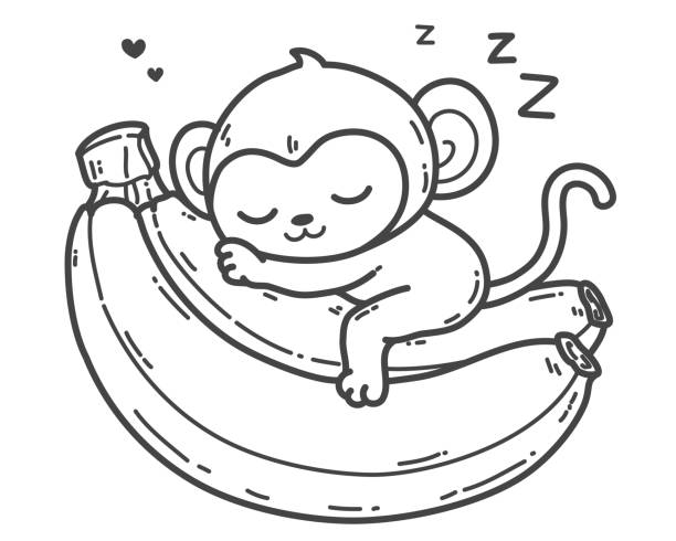 The monkey sleeps peacefully, holding a banana, its preferred meal. The monkey sleeps contentedly, hugging a fish, its favorite banana. Hand drawing vector illustration in black outline on a white background. clip art of a monkey holding banana stock illustrations