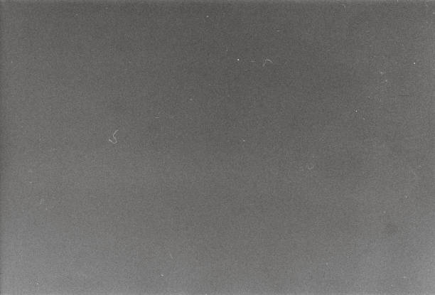 Real 400 Iso Black and white film grain scan background