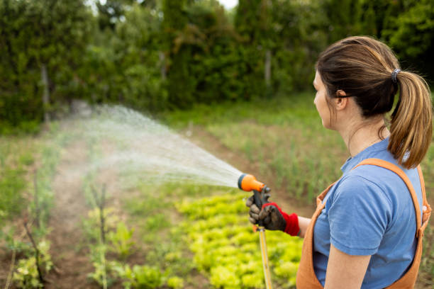 istock Pregnant woman watering plants 2154736204
