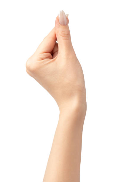 istock Woman hands  isolated on a white background. 2154738435
