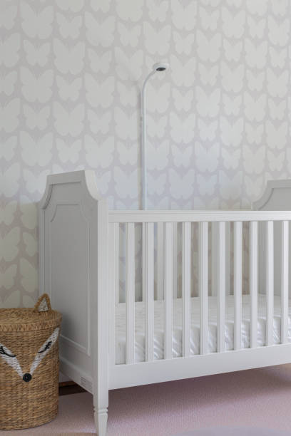 Cute Baby Crib in A Patterned Nursery with Security Camera and Fox Woven Basket