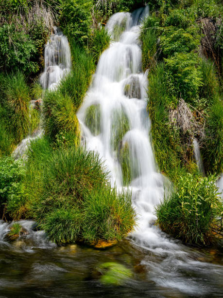 istock Small water spring in long green grasses 2154743944