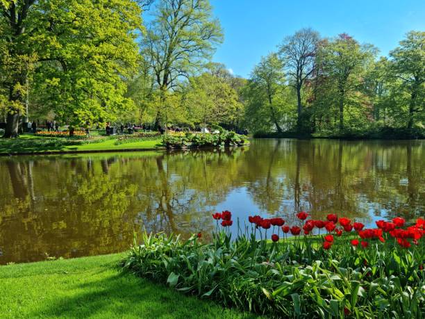 istock Natural lake and tulip garden 2154749320