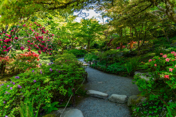 istock Seattle Garden Landscape 2 2154750295