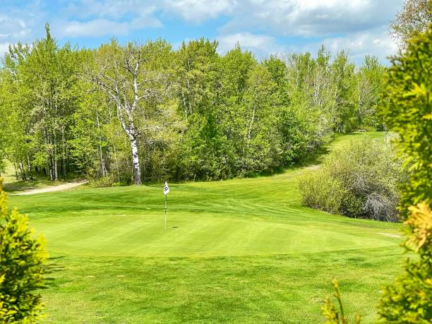 istock Golf green in the woods 2154751591