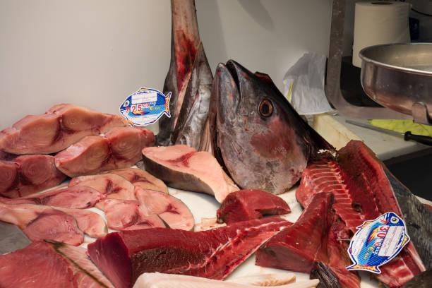 istock fish market with many different fresh fishes 2154751624
