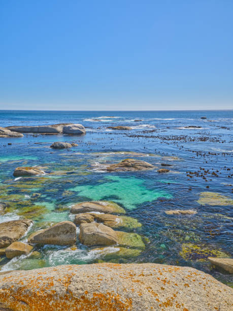 istock Beautiful rocky coastline - close to Cape Town 2154752407