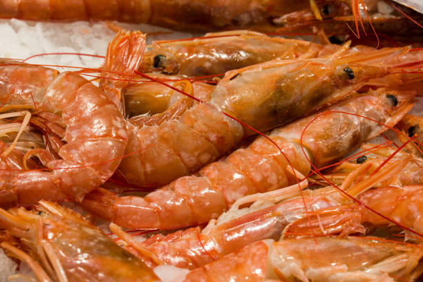 istock fish market with many different fresh fishes 2154753189