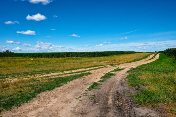 A clear day over a rural landscape with a dirt road cutting through fields, bordered by lush greenery and an expansive sky.