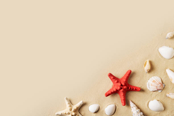 istock Flat lay with sand and starfish, vacation and relax concept 2154755528