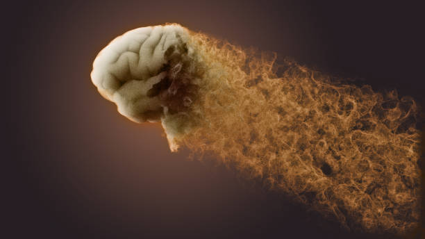 istock Brain seen from the side. Degenerative disease.  Parkinson and Alzheimer 2154755711