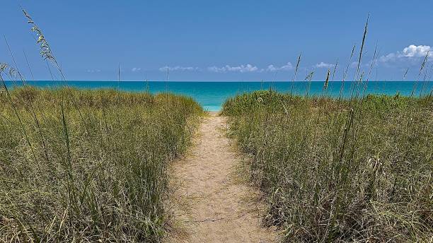 istock Beautiful Tropical Beach and water 2154759923