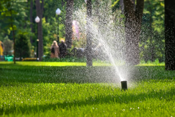 istock Automatic sprinkler system for watering a lawn. Irrigation system in a park or city garden 2154770235