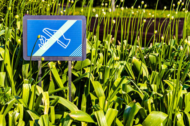 sign prohibiting walking on the lawn with flowers. prohibitory sign on a city flowerbed