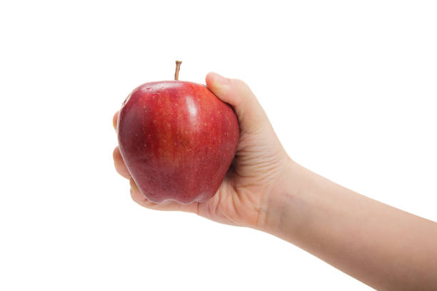 A persons hand is seen holding a fresh, red apple against a plain white background. The ripe apple appears to be perfect for a healthy snack, and the simplicity of the background highlights the vibrant color of the fruit.