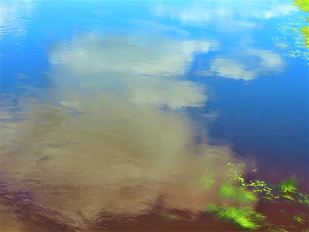 istock Still water with grass reflection in nature. Nature background. 2154773384