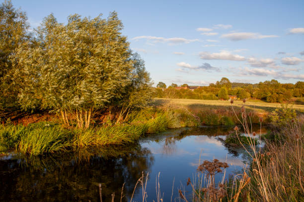 istock Rural Scene, Warwickshire, England 2154775601