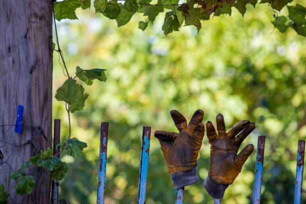 Gardening gloves worn on garden pot, green background