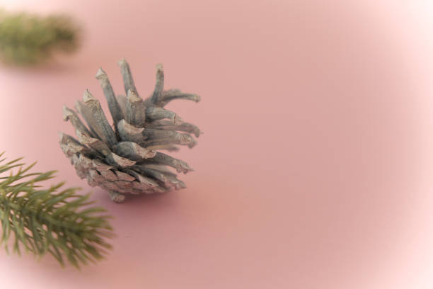 istock Christmas card in pink tones 2154780789