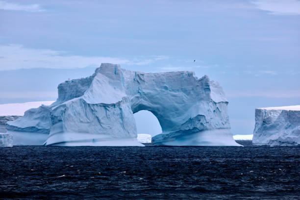 istock King Haakon Bay: Exploring The South Georgia Island 2154782738