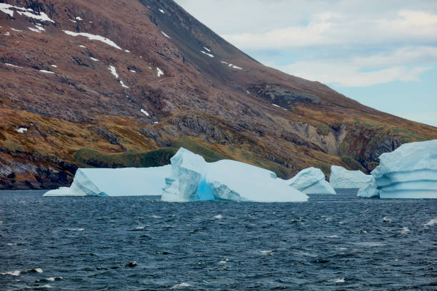 istock King Haakon Bay: Exploring The South Georgia Island 2154782777