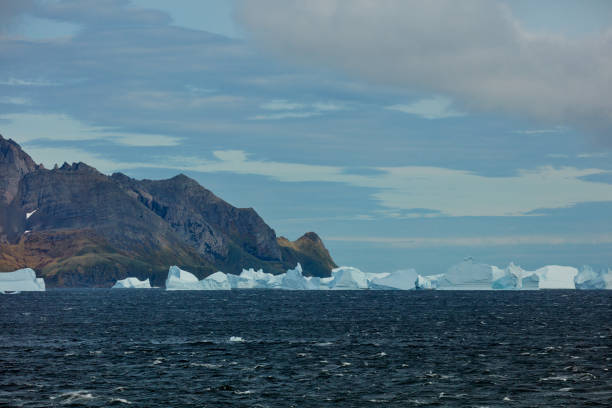 istock King Haakon Bay: Exploring The South Georgia Island 2154782812