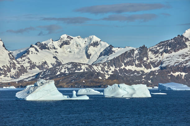 istock King Haakon Bay: Exploring The South Georgia Island 2154782966