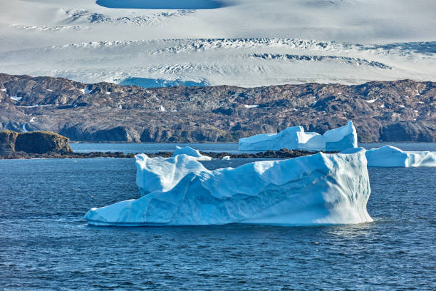 istock King Haakon Bay: Exploring The South Georgia Island 2154782975
