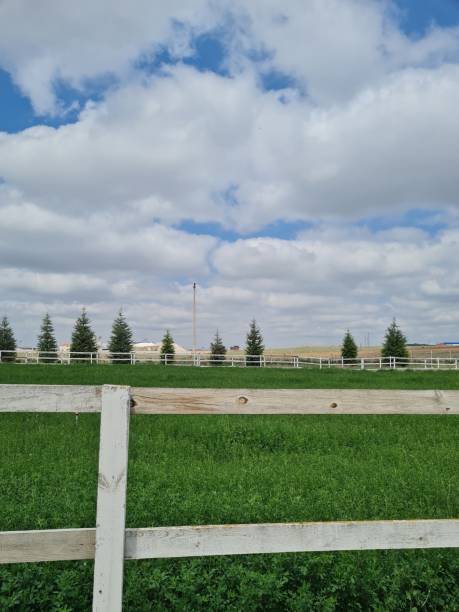istock a farm and sky in nature 2154784992
