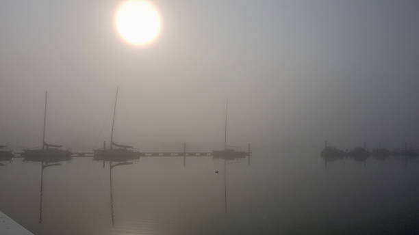 foggy scene with moored boats