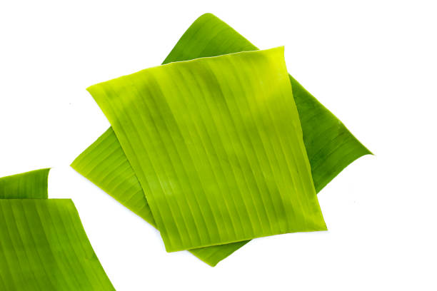 istock Banana leaves on white background. 2154787186