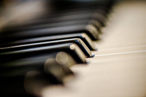 Harmonic Details: Macro Photo of Piano Keys