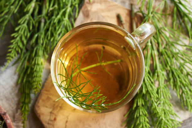 istock Horsetail tea in a glass cup with fresh horsetail twigs 2154789708