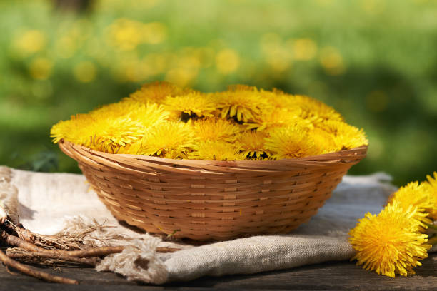 A radiant yellow dandelion flourishes in the lush green grass on a sunlit day, embodying nature's simplicity and beauty. The flower's intricate details symbolizing resilience and growth are captured up close.