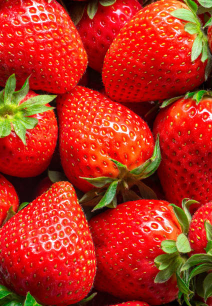 Red ripe strawberry harvest, top view