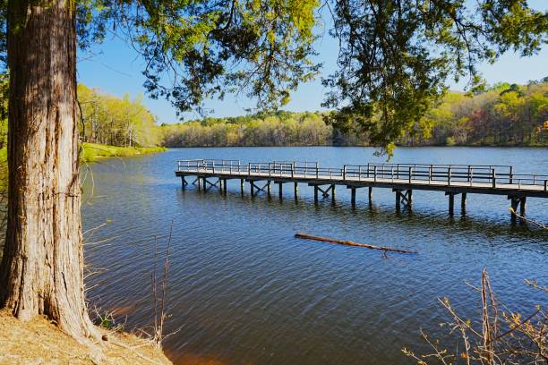 istock 202403 Lake Lowndes State Park Mississippi 2154791108