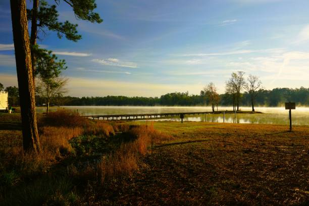 istock Sunrise at Paul B Johnson State Park Mississippi 2154791135